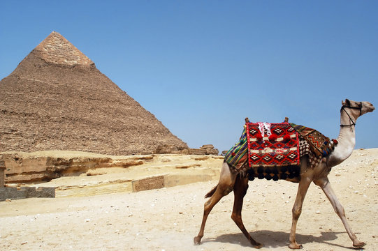 Pyramid of Chefren, Giza, Egypt