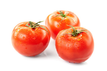 fresh tomatoes on the white background