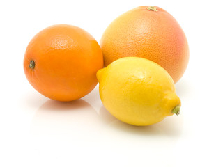 orange, lemon and grapefruit on white background