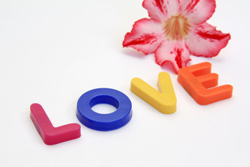 Word LOVE made from Plastic isolated over white background