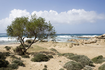 Falassarna beach - Crete