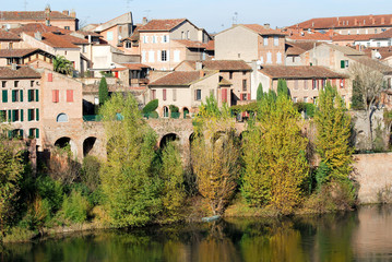 Fototapeta na wymiar Village d'Albi et Tarn