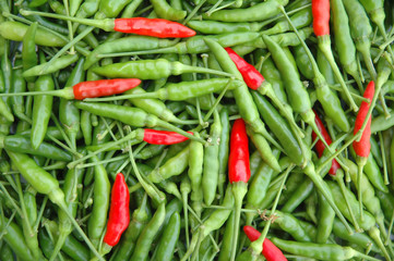 green and red chili