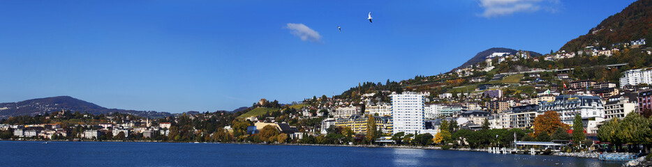 Panoramic view on the coast of Montreux
