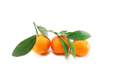 tangerines