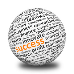 Word Ball - Success