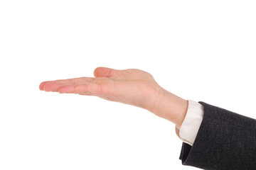 Präsentierende Hand