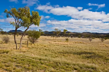 Foto op Plexiglas australian landscape © Enrico Della Pietra