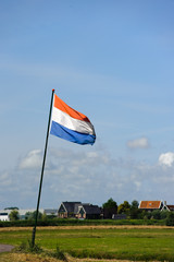Fresh bright green summer field at amsterdam