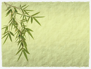 bamboo on antique paper texture