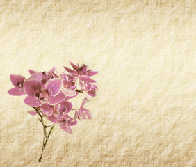 vintage wallpaper background with orchid .