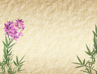 orchids with bamboo leaves on old grunge antique paper texture