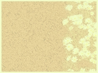 chrysanthemum with set of abstract painted background .