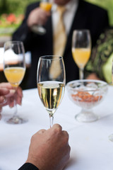 champagne reception