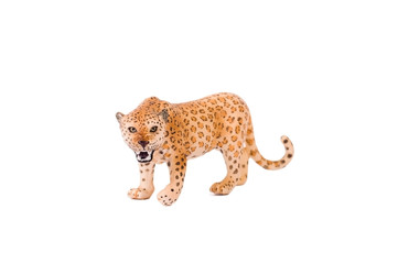 leopard