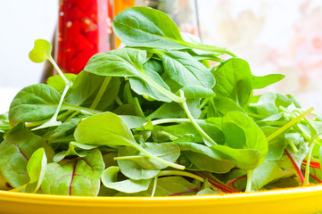 Organic Spring Mix Lettuce