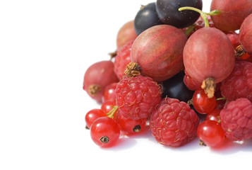 Garden ripe berries isolated on white background