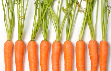 Carrots on White