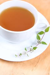 Obraz na płótnie Canvas Cup of green tea decorated with mint twig