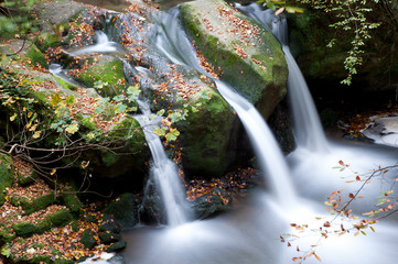Fototapeta na wymiar Las jesienią Wodospad
