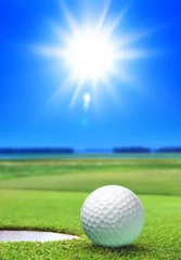 Poster golf ball on green course © Sergiy Serdyuk