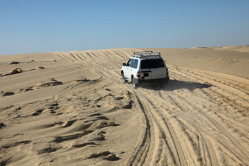 Car in desert