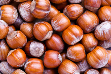 Hazelnuts