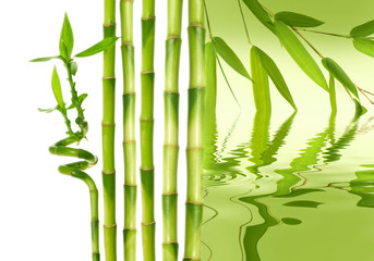 Fototapeta na wymiar bamboo and water reflection background