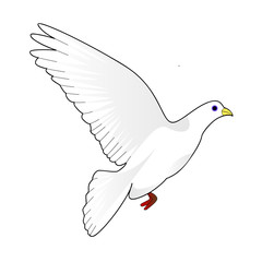 WEB ART DESIGN DOVE PEACE LOVE COLOMBE PAIX020
