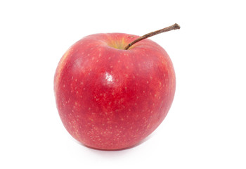 fruit