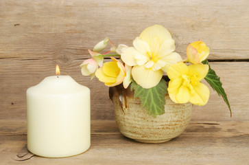 Begonia flowers and candle