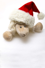 Weihnachtsschaf mit Mütze