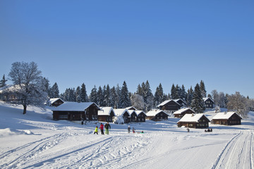 Fototapeta na wymiar Rodzina w wiosce zimą