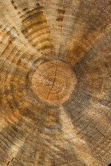 Naklejka premium Textutre de bois