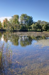 jardin botanique de montreal