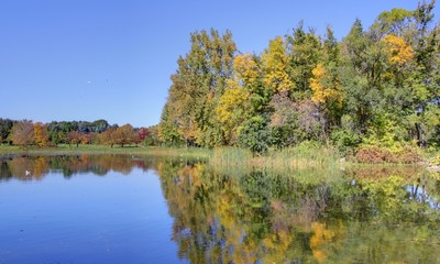 jardin botanique de montreal
