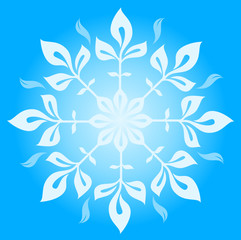 Fototapeta na wymiar Snowflake winter illustration