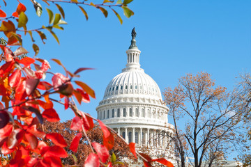 Jesień w budynku stolicy USA Washington DC Red Leaves - 28217945