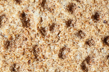 XXXL Full Frame Bottom Rough Cracker, Extreme Closeup Macro