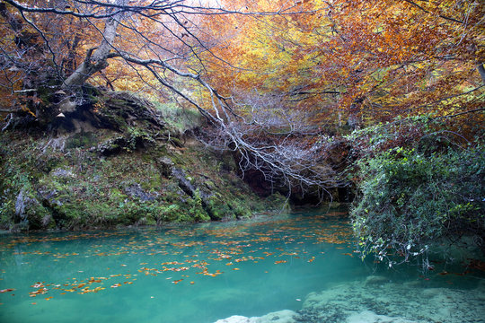 Colores de oto&ntilde;o