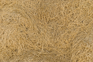 Dry lawn grass as a natural background