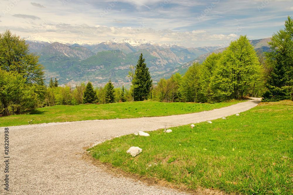 Canvas Prints Monte Baldo 06