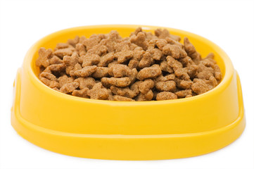 Pet Food Bowl Isolated White on Background