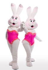 two bunny girl mascot costume