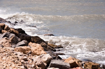 Fototapeta premium Mole, Detail