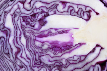 detail of a sliced red cabbage