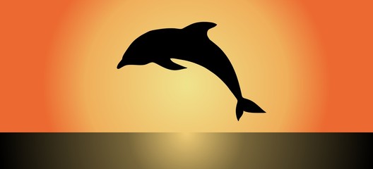 delfin sol © corocota