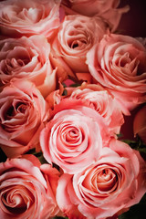 Background of pink roses