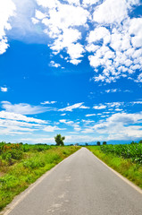 Desert road through the plains