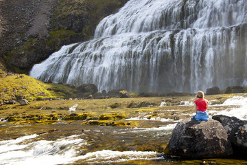 Fototapeta premium Relax on the rock. In background Dynjandi waterfall - Iceland
